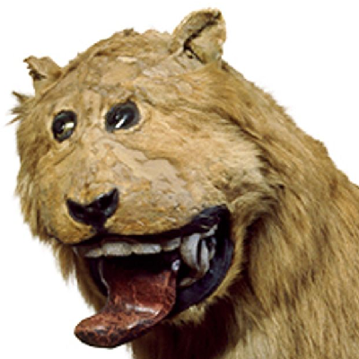 337guanacos@xarxa.cloud