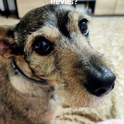 vecinadelmundo@xarxa.cloud