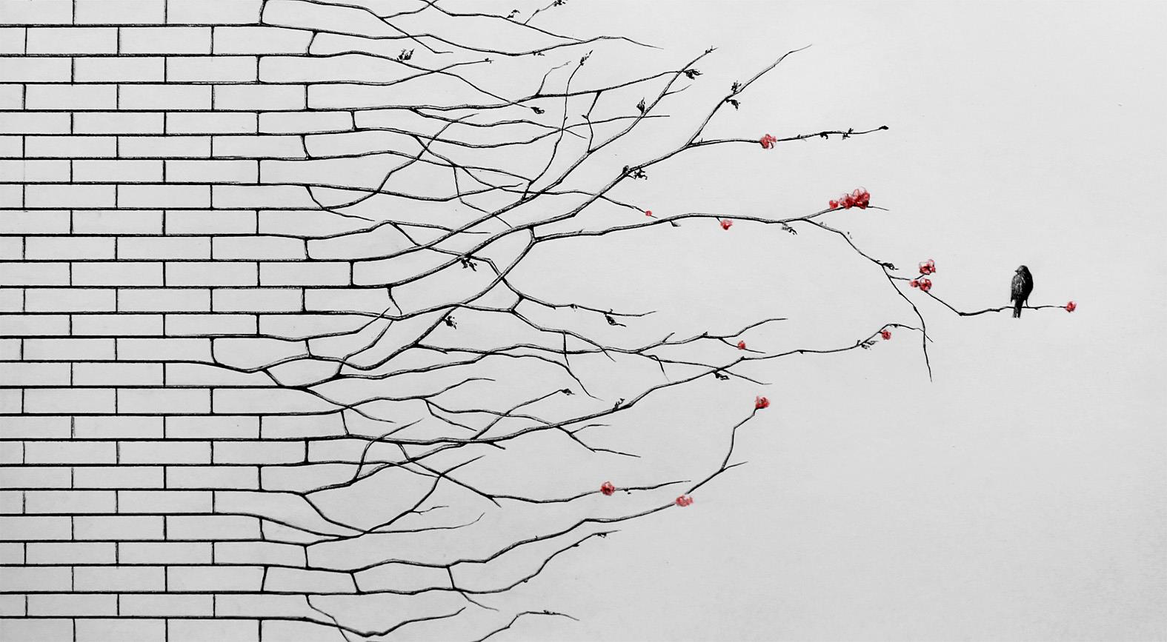 Header Image