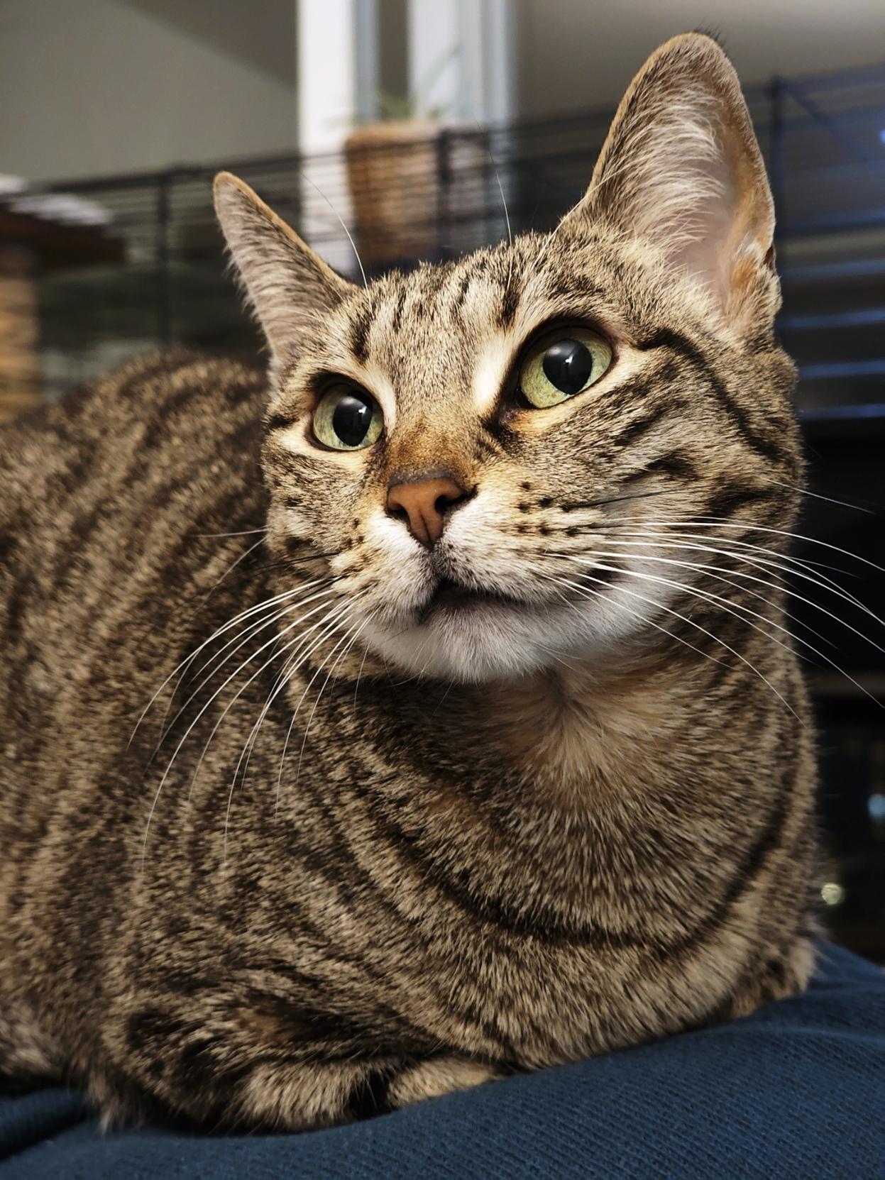 Posted media