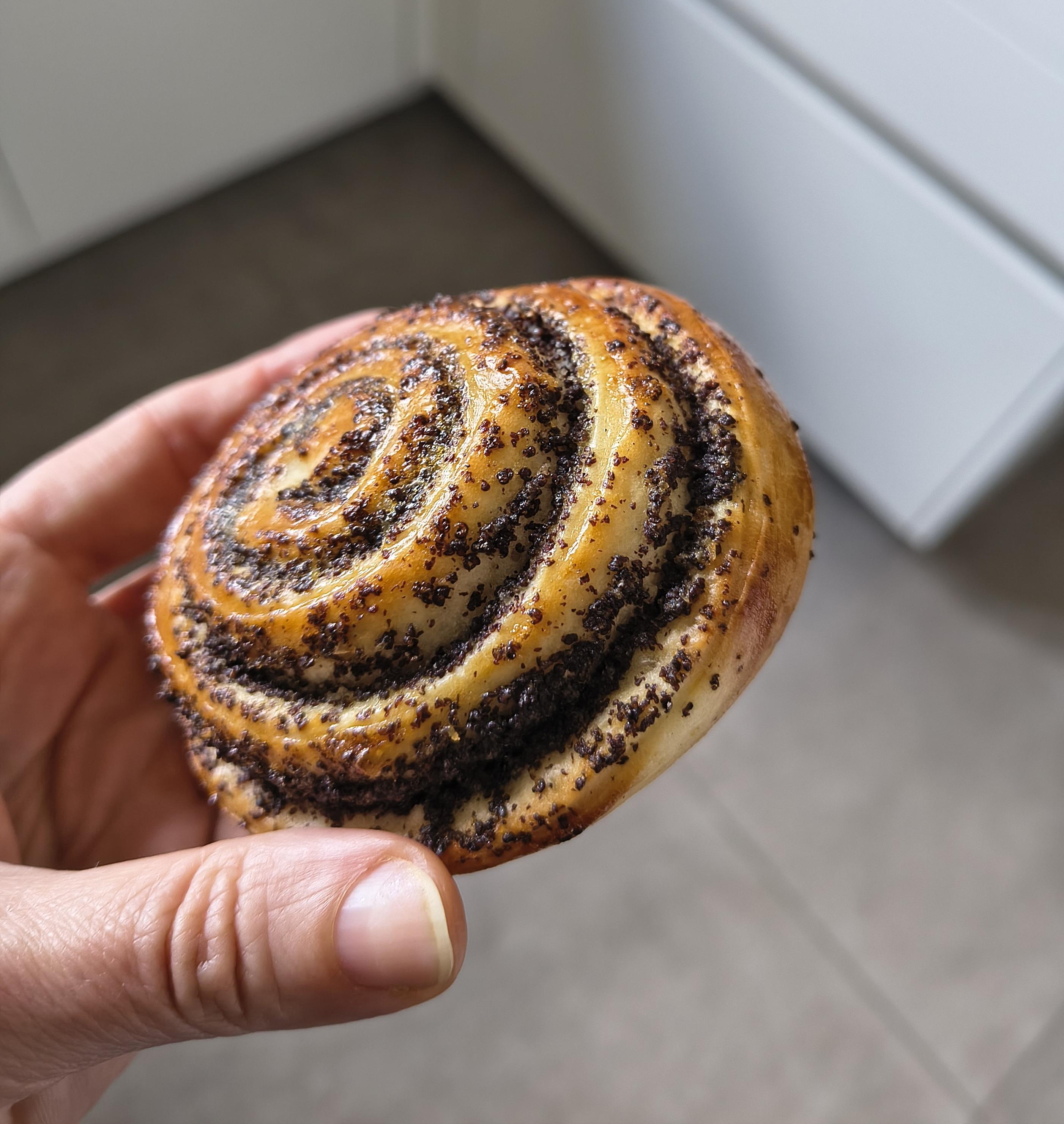 Mi mano sosteniendo una caracola.